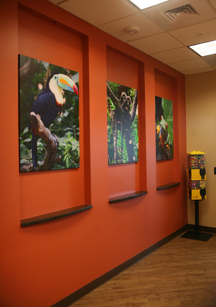 Hallway photo for Pediatric dentist Dr. Amy Davidian in Durham, NC